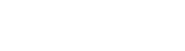 logo CERMIN303